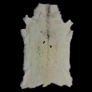 Caribou / Reindeer Skin - White