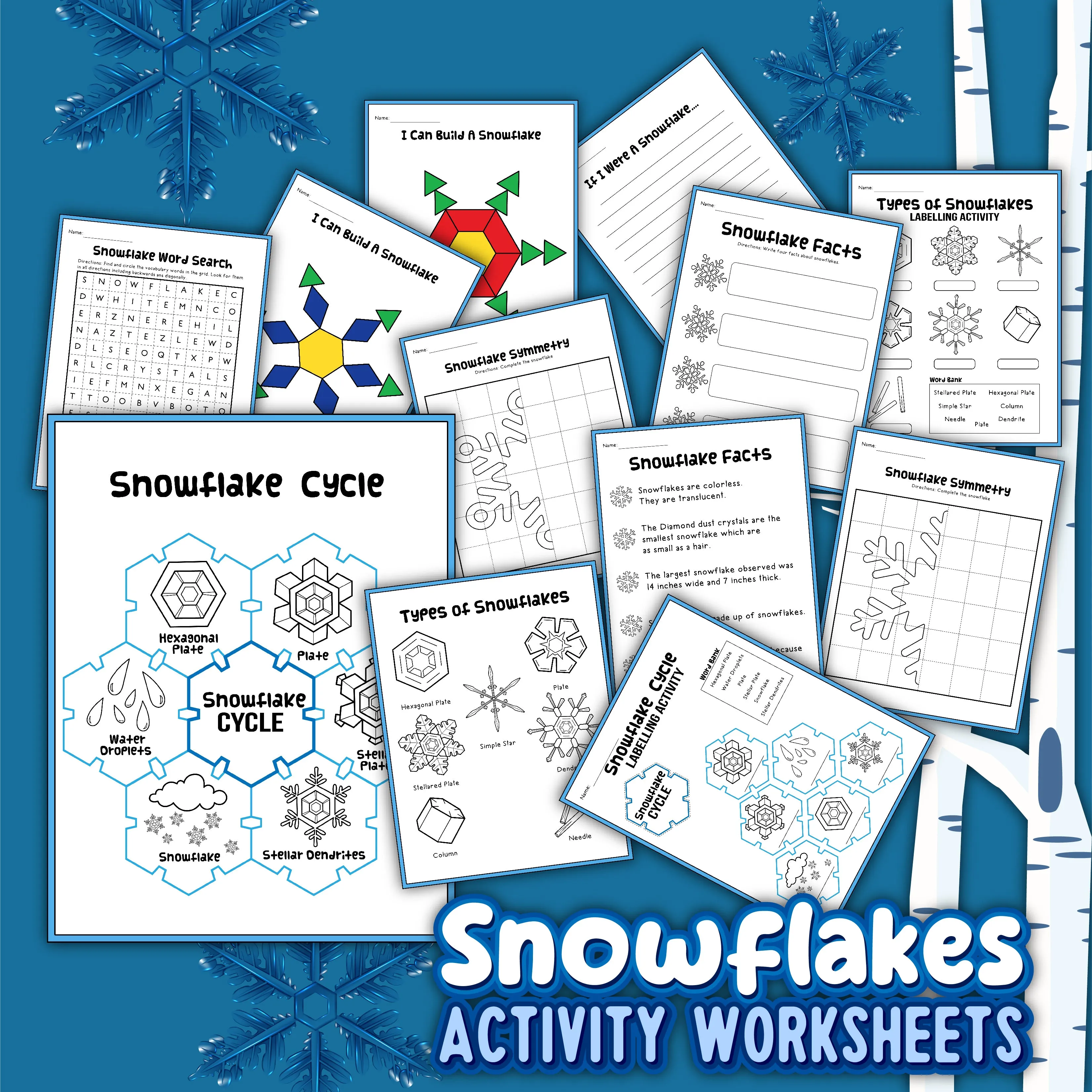 Snowflake STEAM Project Pack